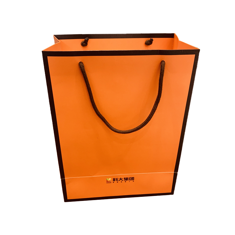 Wholesale Custom Eco Friendly Shopping Bag Packaging Gift Bags Paper Bag For Clothes