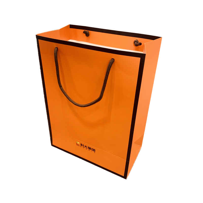 Wholesale Custom Eco Friendly Shopping Bag Packaging Gift Bags Paper Bag For Clothes