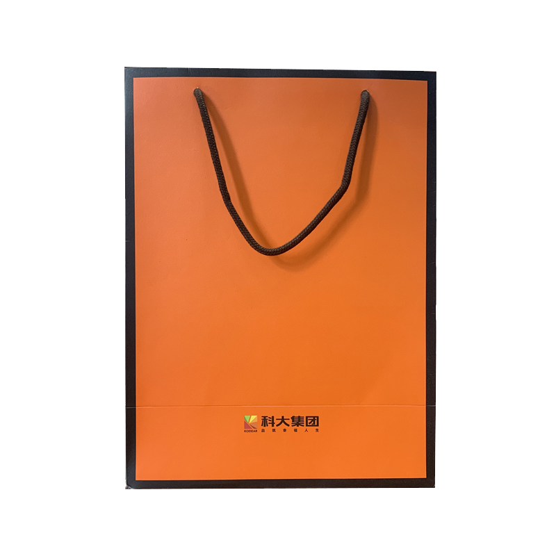 Wholesale Custom Eco Friendly Shopping Bag Packaging Gift Bags Paper Bag For Clothes