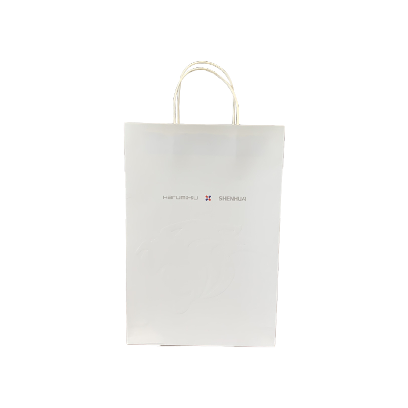 Custom Logo White Paper Bags Brand Shopping Bag Promotional Paper Bag With Handle For Clothing