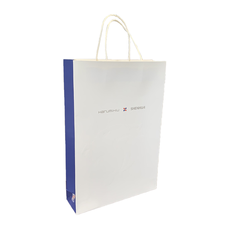 Custom Logo White Paper Bags Brand Shopping Bag Promotional Paper Bag With Handle For Clothing