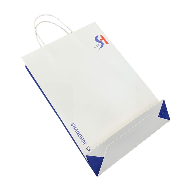 Custom Logo White Paper Bags Brand Shopping Bag Promotional Paper Bag With Handle For Clothing